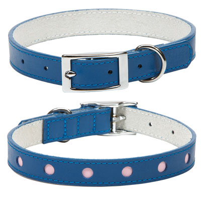 Dog collar