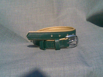 Dog collar