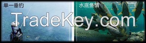 Underwater Mini Camera