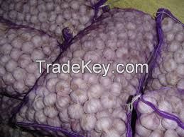 White Common Fresh Garlic