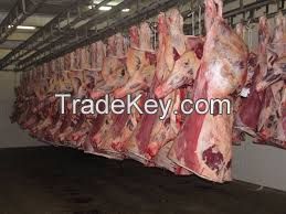 Frozen Mutton, Lamb, Sheep Meat, goat, beef, buffalo, cow, chicken, calf