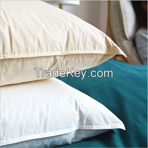 Feather Cushion insert 