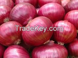 Onions