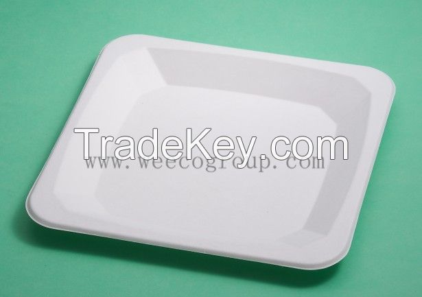 professional bagasse paper plates 