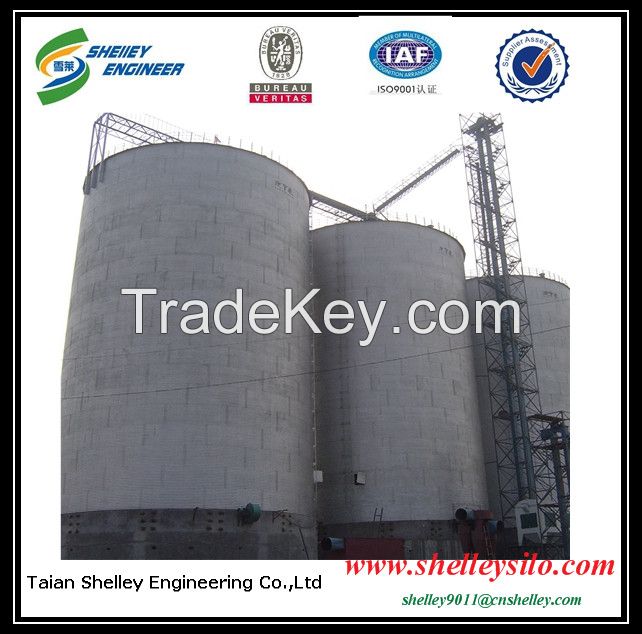 5000t flat bottom steel silo for grain storage