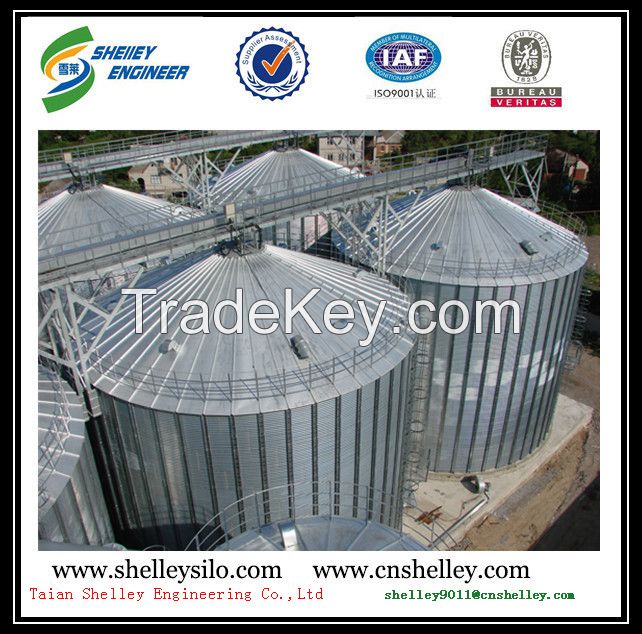 China assembly steel silo cost