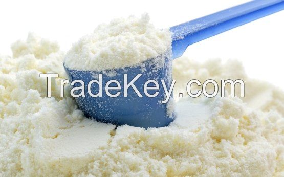 Skimmed Milk Powder For Human