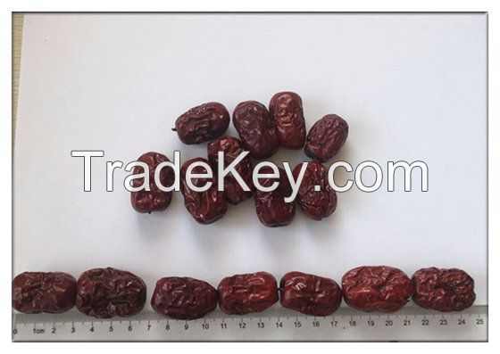 Chinese Red Jujube