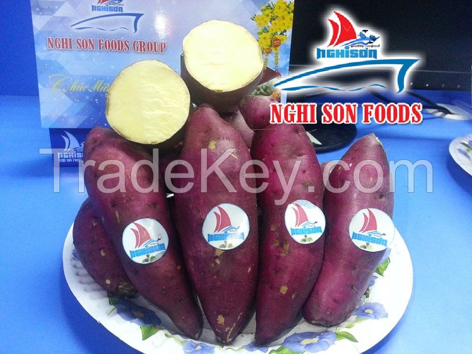 VIETNAMESE SWEET POTATO WHATSAPP +84986365621