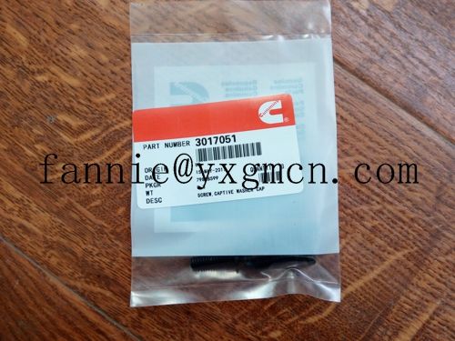 k19 k38 k50 engine screw 3017051