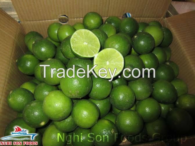 Fresh Lime Manufacturer of Viet Nam Best Price