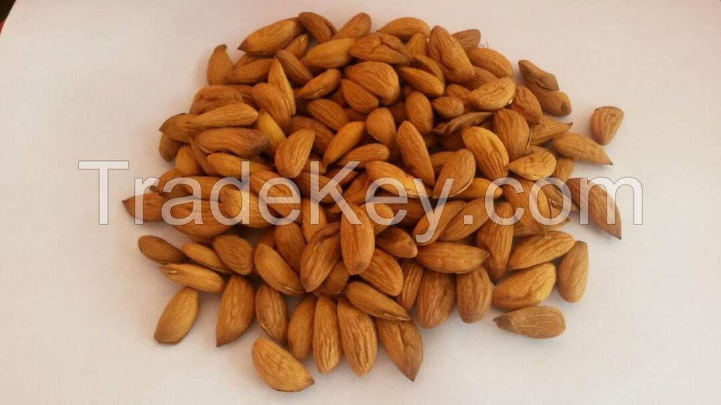 High quality almond kernel - 2017 harvest