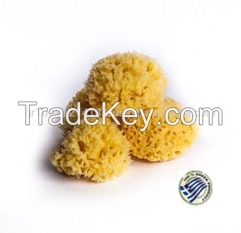 Baby Natural Sea Sponge