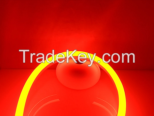 LED NEON TUBE