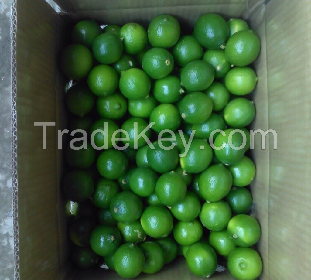 Seedless Lime