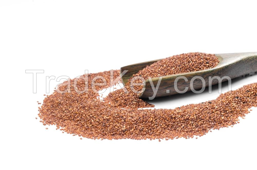 Brown Teff Seeds