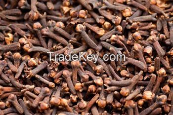 Madagascar cloves for sale