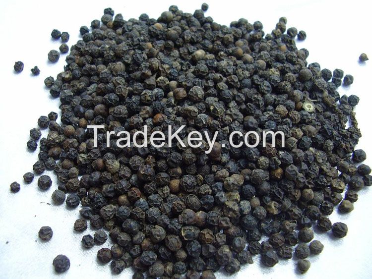 Black Pepper for sale