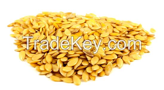 Golden Linseeds from Kenya