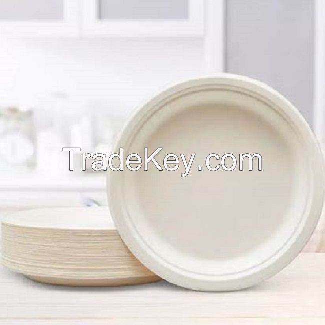 Compostable Sugarcane Bagasse Pulp Disposable Plate Dishes Biodegradable Food Container Tableware