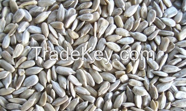 Sunflower Seeds, Snow White Pumpkin Seeds Nut