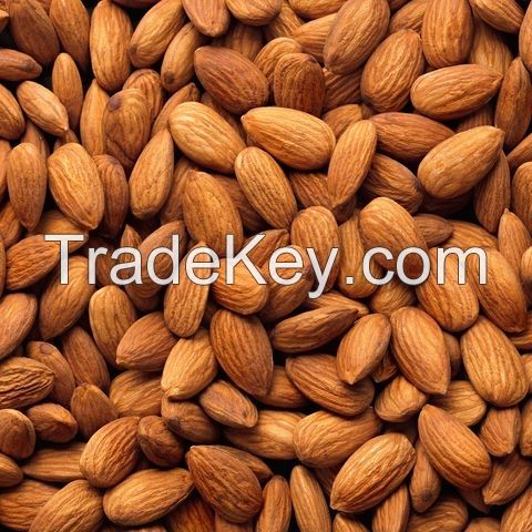 Organic Almond Nuts / Almond Nuts / Almond Kernel