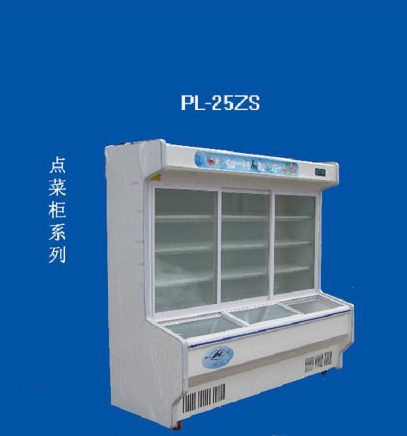 Catering Freezer