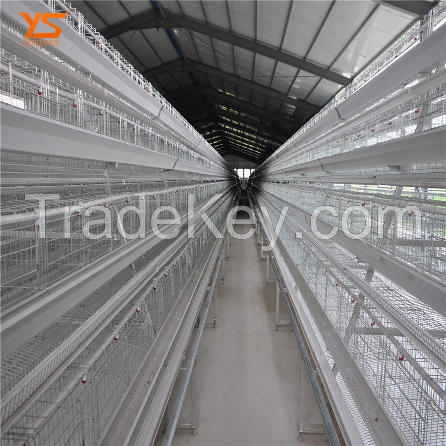 Cost-effective chicken layer cage kenya