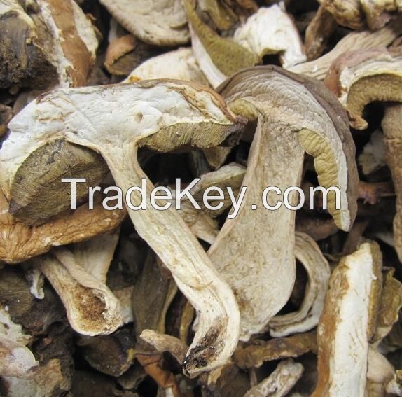 Dried Boletus Edulis sliced