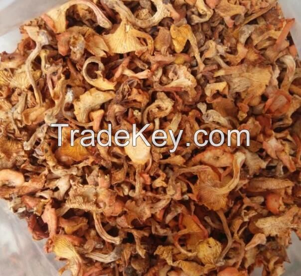 Dried Cantharellus Cibarius