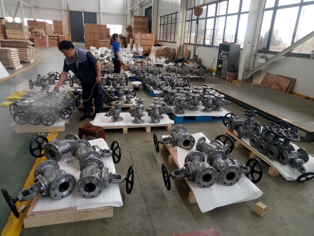 Rays Globe Valve