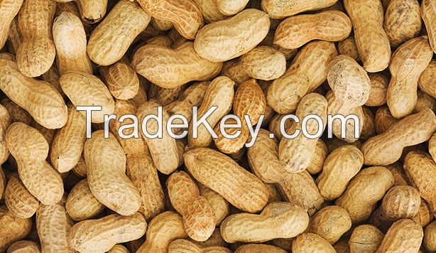 PeaNut Kernel