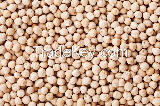 Kabuli Chickpeas