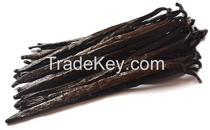 Wholesale best Price Vanilla Beans