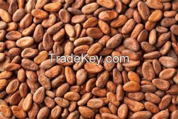  Cocoa Beans