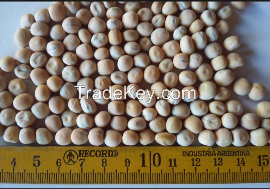 WHOLE YELLOW PEAS