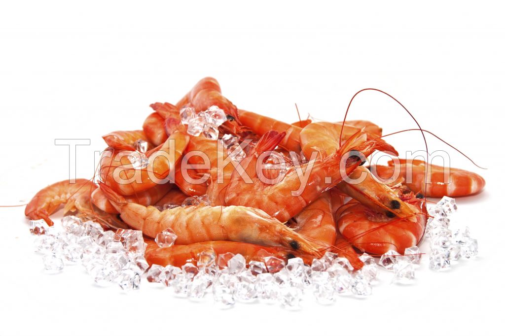 Frozen, Fresh Seafoods