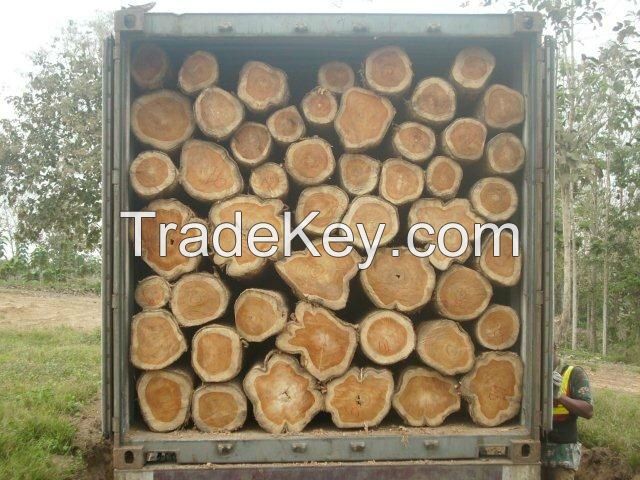 Tali Timber Wood Logs for Sale