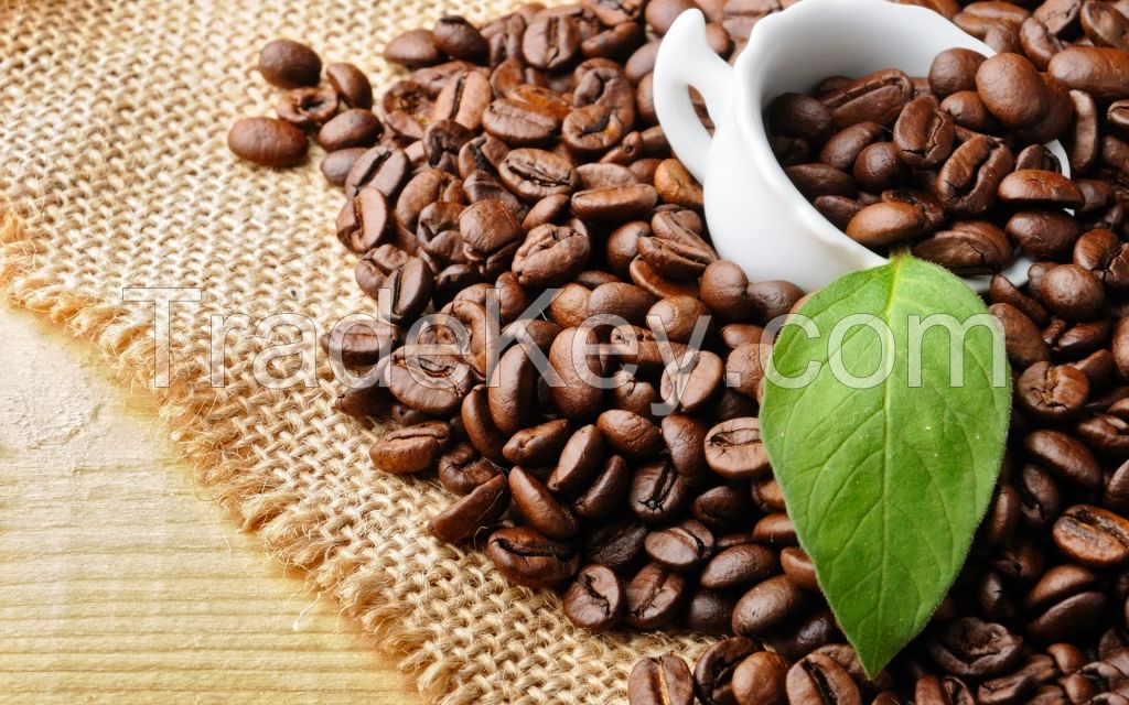 Sell MOKA ROASTED COFFEE BEANS - Viet Deli Coffee Co., Ltd