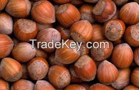 Hazelnuts