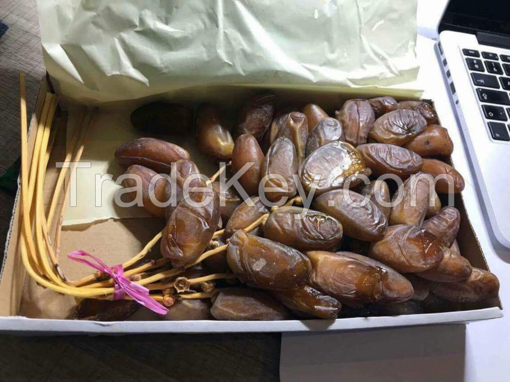 Deglet nour  fresh algerian dates