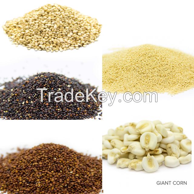 Andean Grains, Quinoa, Amaranthus, Canihua, Sacha Inchi