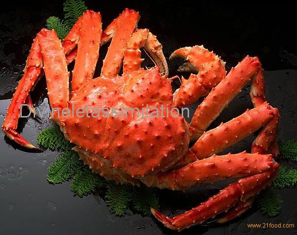 red king crab