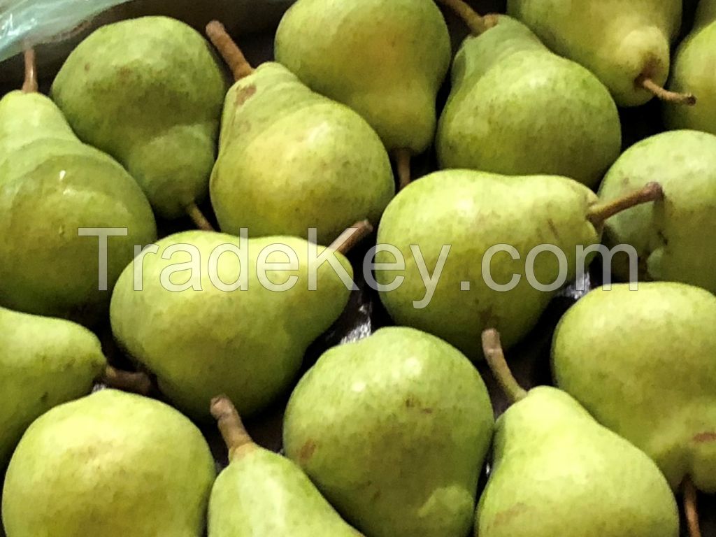 Pear Abate, Kaiser, William&#039;s, Red Bartlett, Comice, Summer pears