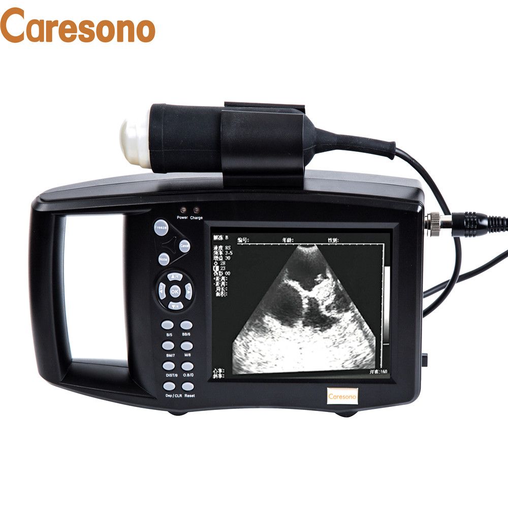 Portable veterinary ultrasound machine