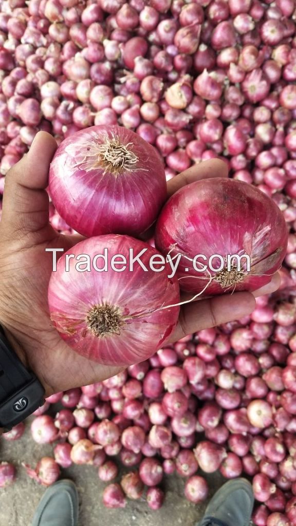 Red Onion