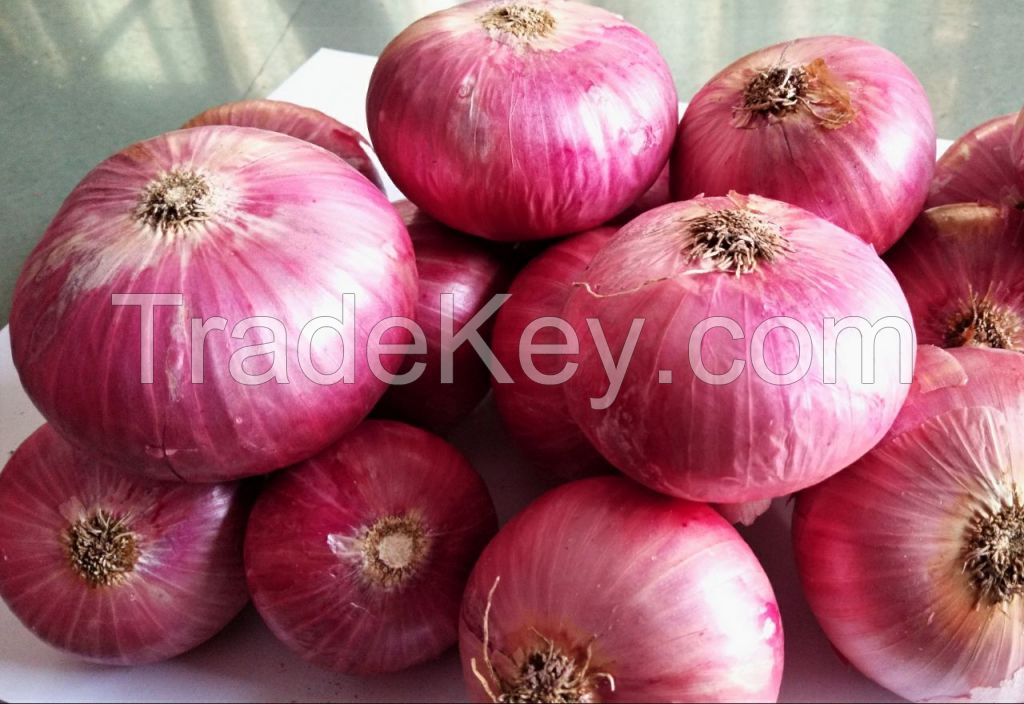 Red Onion