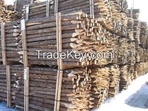 Northern white cedar posts pickets tree stakes wood logs