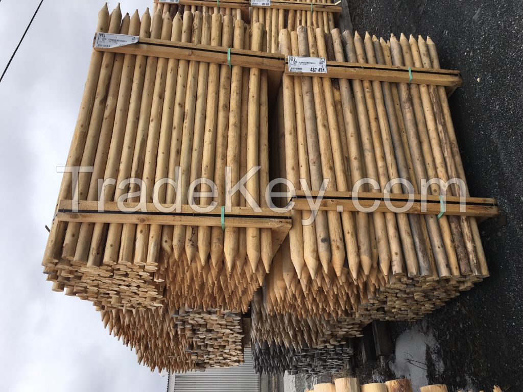 Northern white cedar posts pickets tree stakes wood logs