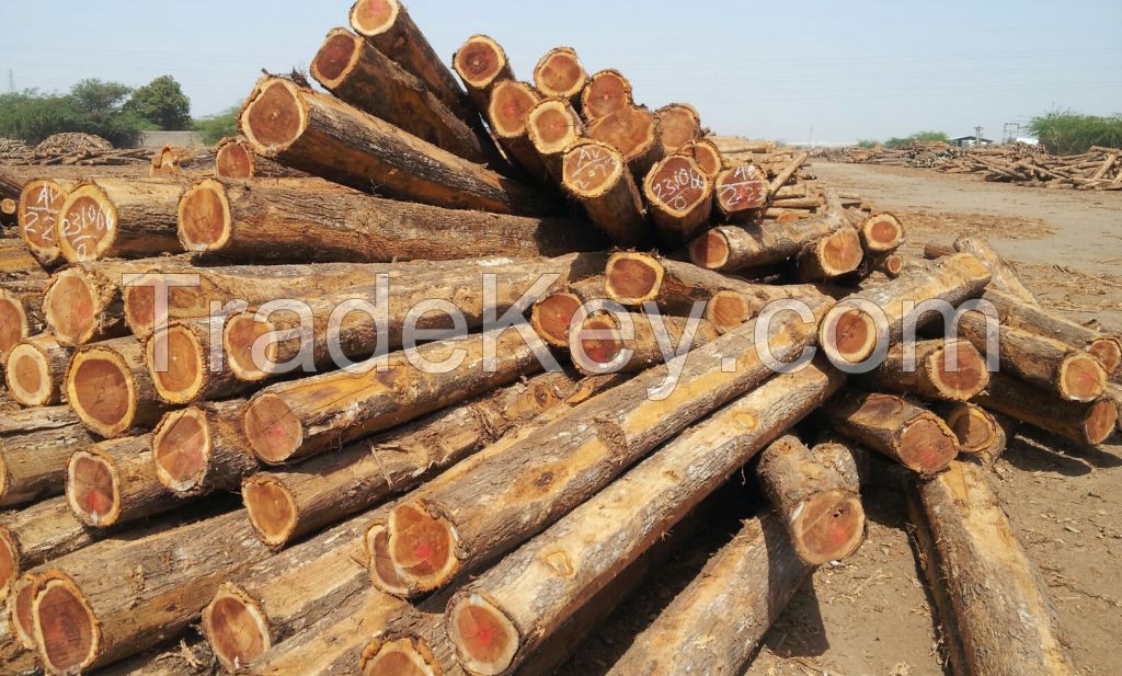 Logs